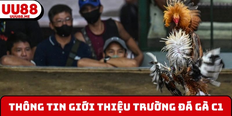 Thông tin giới thiệu trường đá gà C1