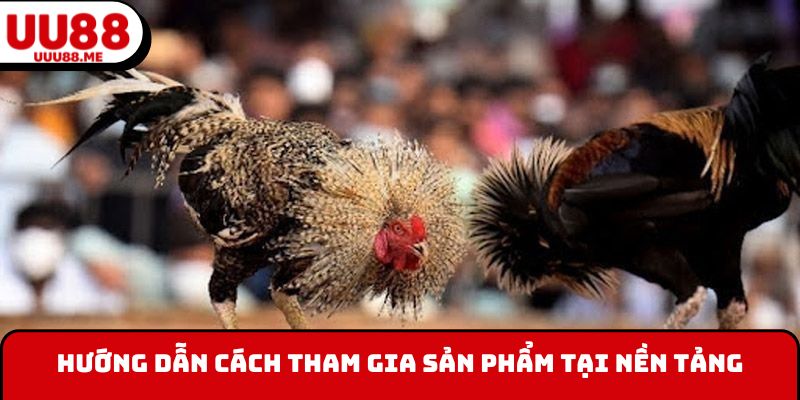 Hướng dẫn cách tham gia tại nền tảng