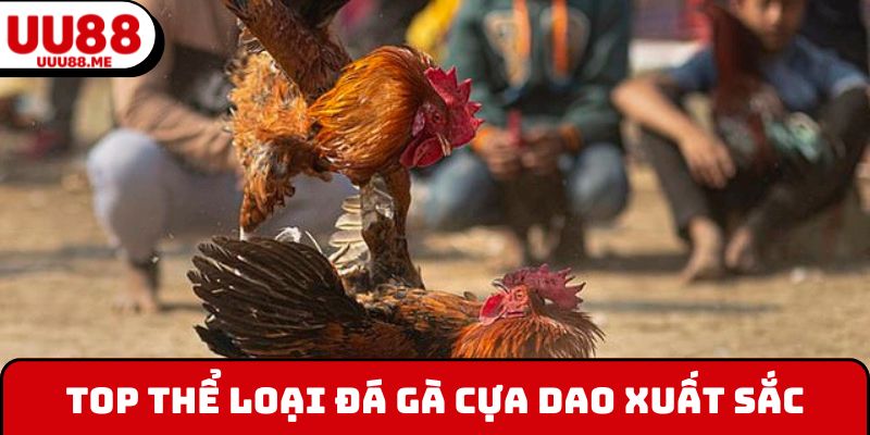 Top thể loại đá gà cựa dao xuất sắc